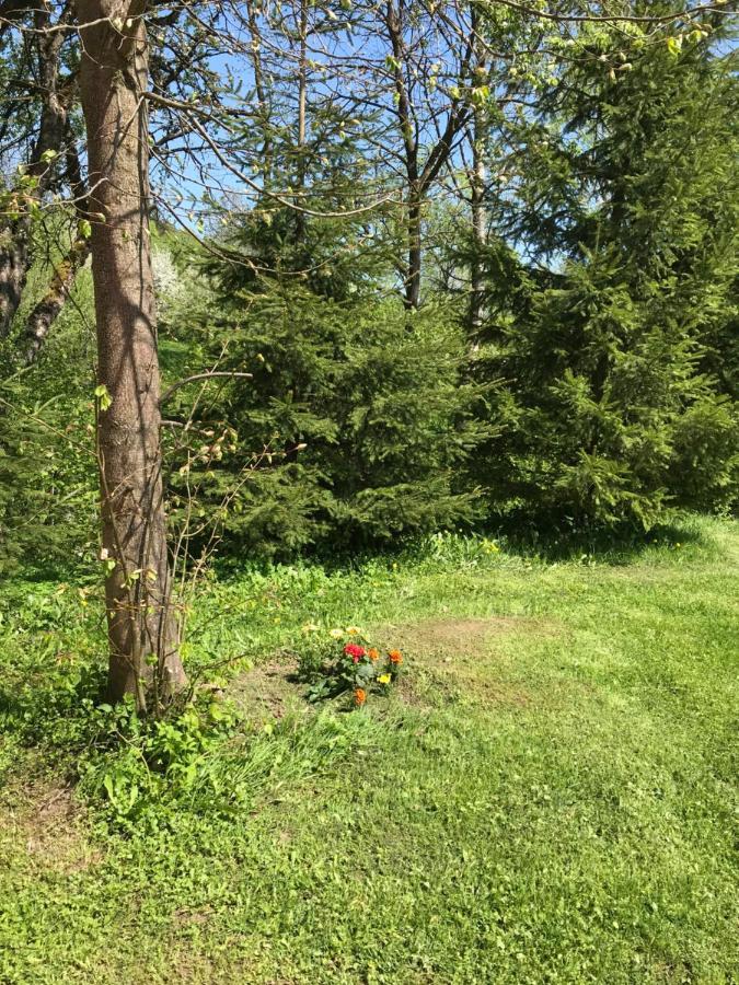 Domki Nad Stawem. Polańczyk Exteriör bild