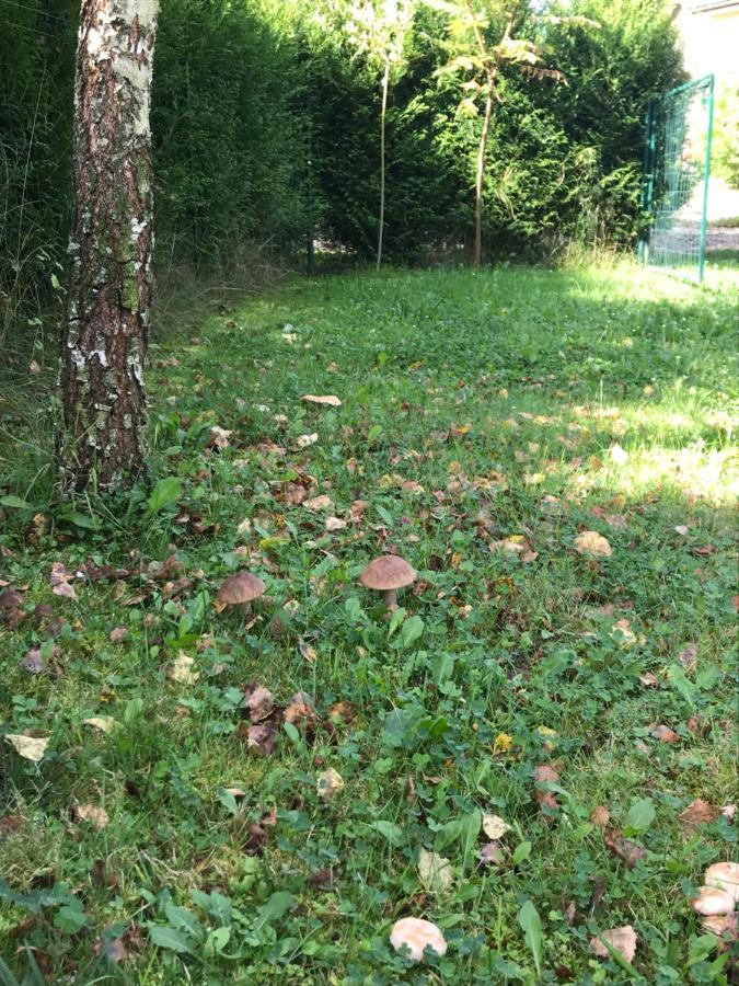 Domki Nad Stawem. Polańczyk Exteriör bild